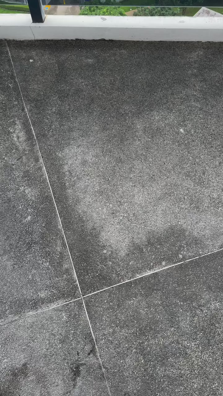 Rose Rainbow Chronograph